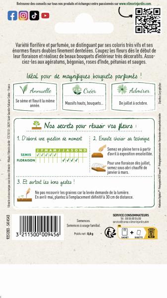 Fleurs - Œillet Chabaud Géant Varié - MEDIA_PACKAGING_VERSO